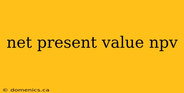 net present value npv