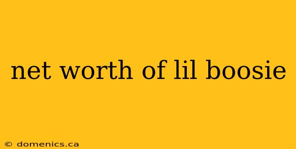 net worth of lil boosie