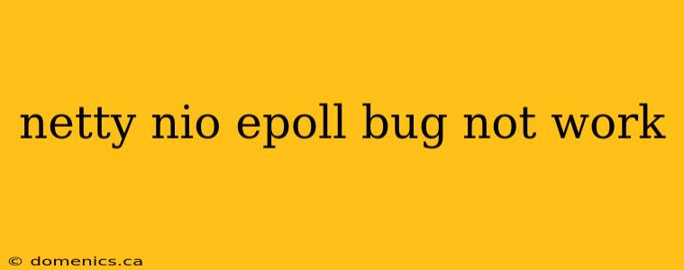 netty nio epoll bug not work