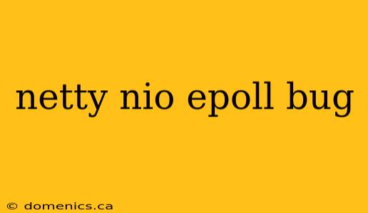 netty nio epoll bug