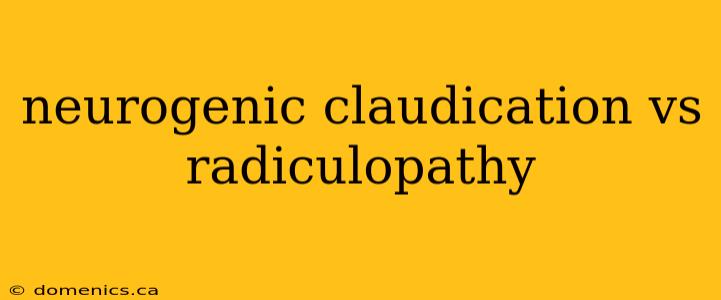 neurogenic claudication vs radiculopathy