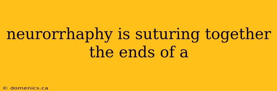 neurorrhaphy is suturing together the ends of a