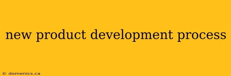 new product development process