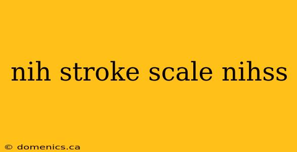 nih stroke scale nihss