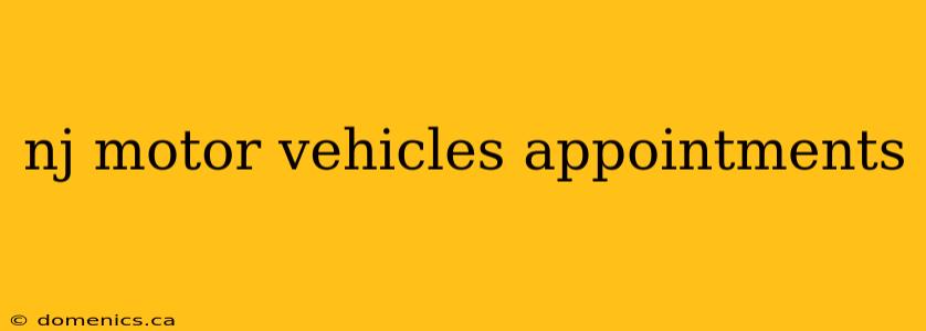 nj motor vehicles appointments