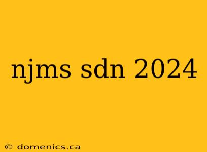 njms sdn 2024