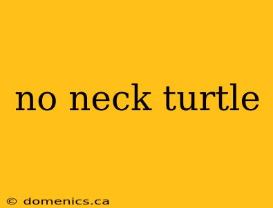 no neck turtle