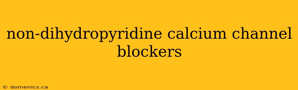 non-dihydropyridine calcium channel blockers