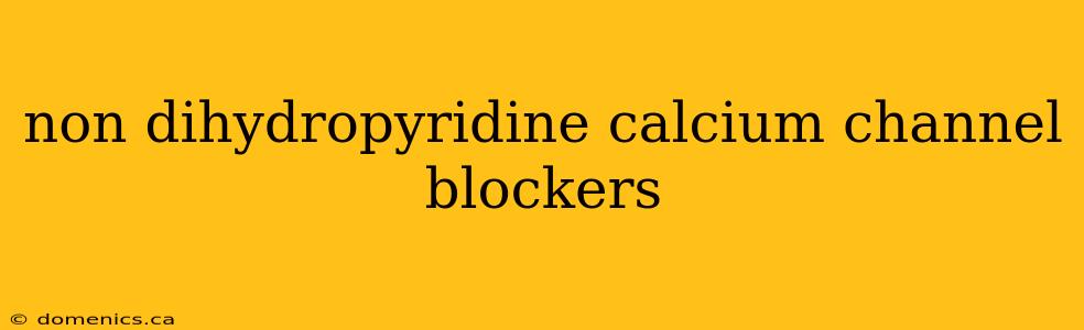 non dihydropyridine calcium channel blockers