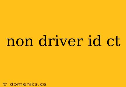 non driver id ct