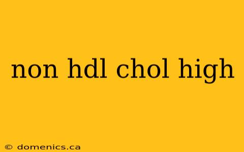 non hdl chol high