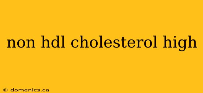 non hdl cholesterol high