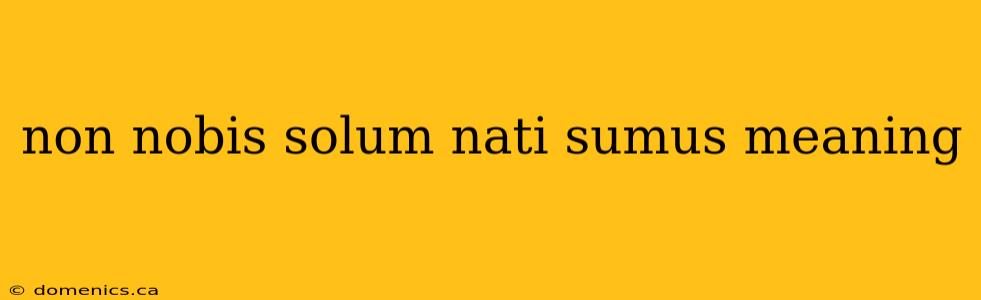 non nobis solum nati sumus meaning