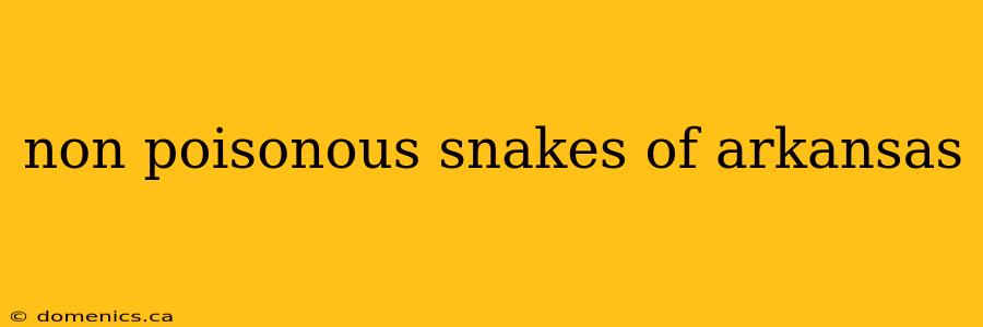 non poisonous snakes of arkansas