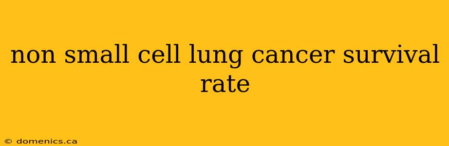 non small cell lung cancer survival rate