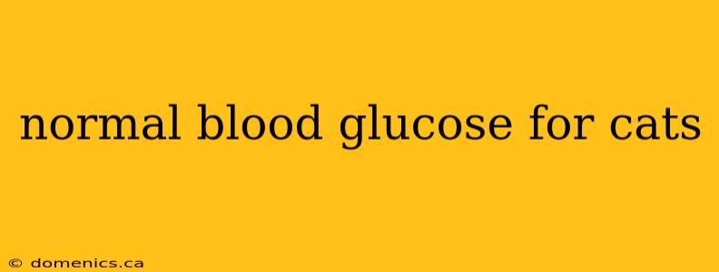 normal blood glucose for cats