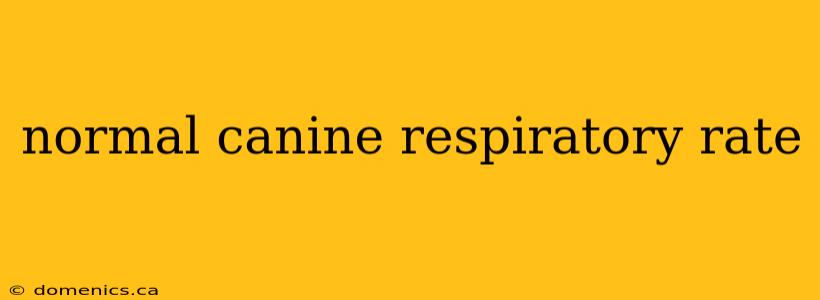 normal canine respiratory rate