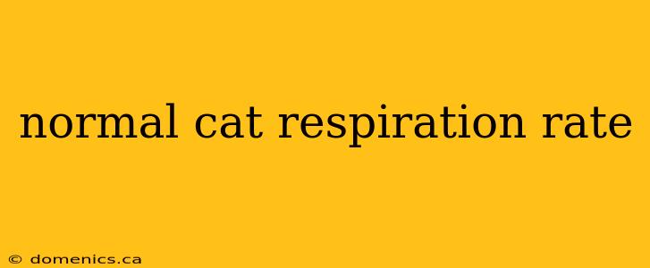 normal cat respiration rate