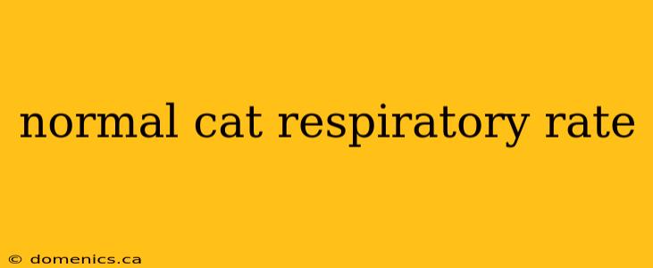 normal cat respiratory rate