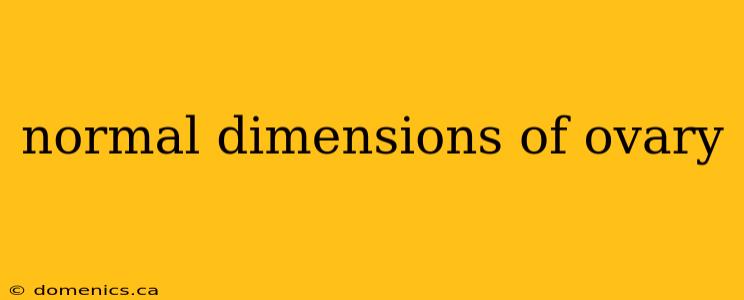 normal dimensions of ovary