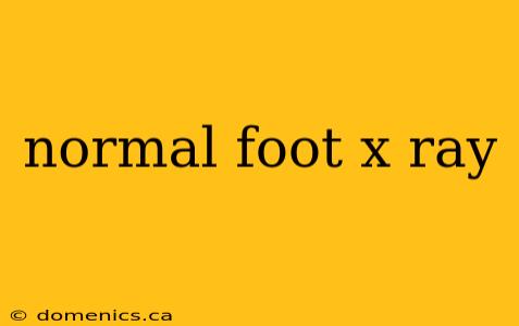 normal foot x ray