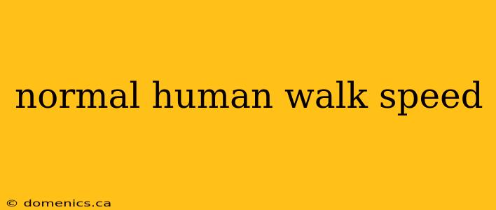 normal human walk speed