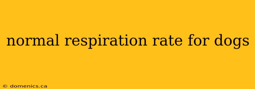 normal respiration rate for dogs