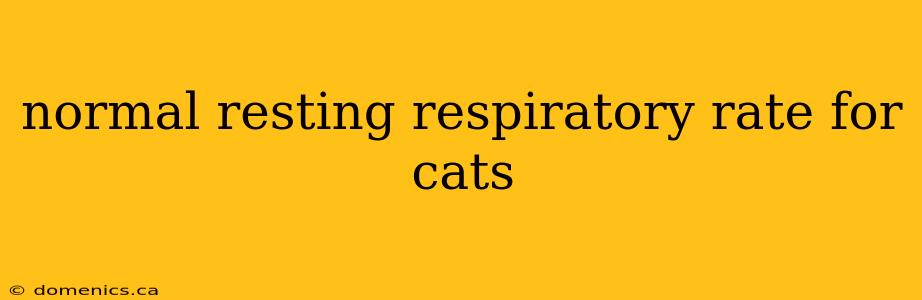 normal resting respiratory rate for cats