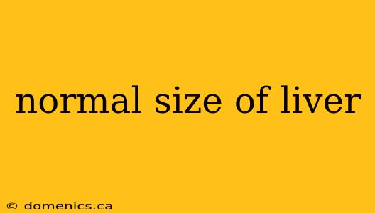 normal size of liver