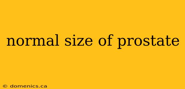 normal size of prostate