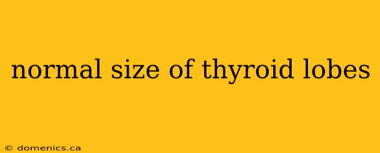 normal size of thyroid lobes