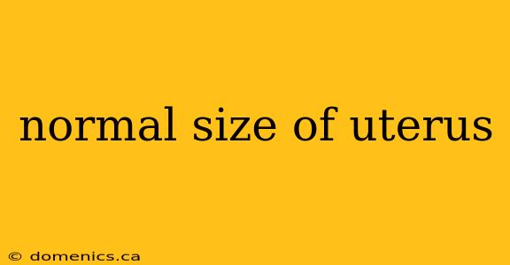 normal size of uterus