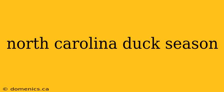 north carolina duck season