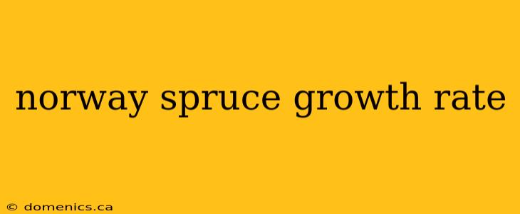 norway spruce growth rate