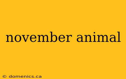 november animal