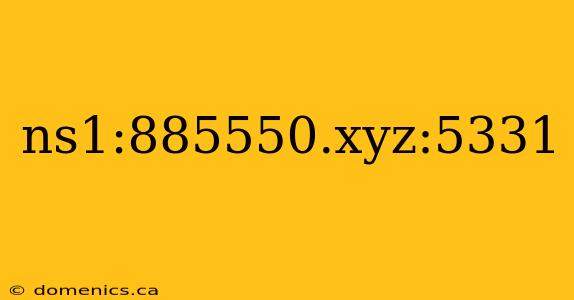 ns1:885550.xyz:5331