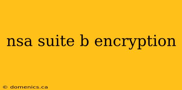 nsa suite b encryption