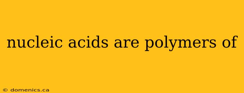 nucleic acids are polymers of