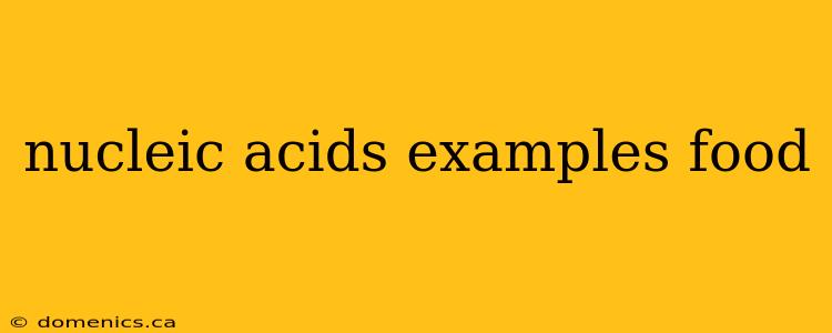 nucleic acids examples food