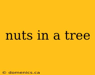 nuts in a tree