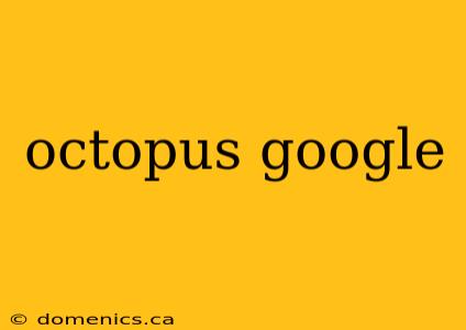 octopus google