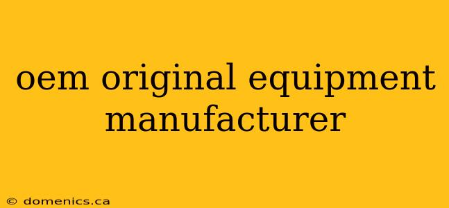 oem original equipment manufacturer