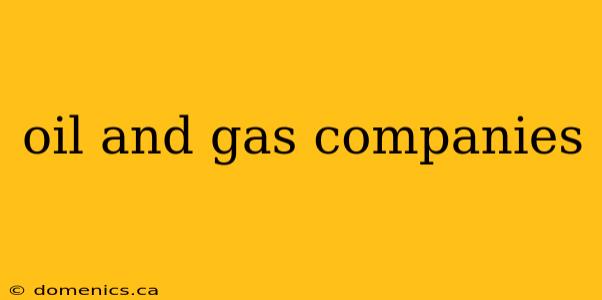 oil and gas companies