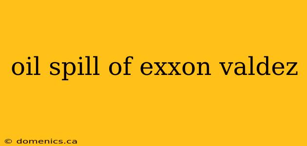 oil spill of exxon valdez
