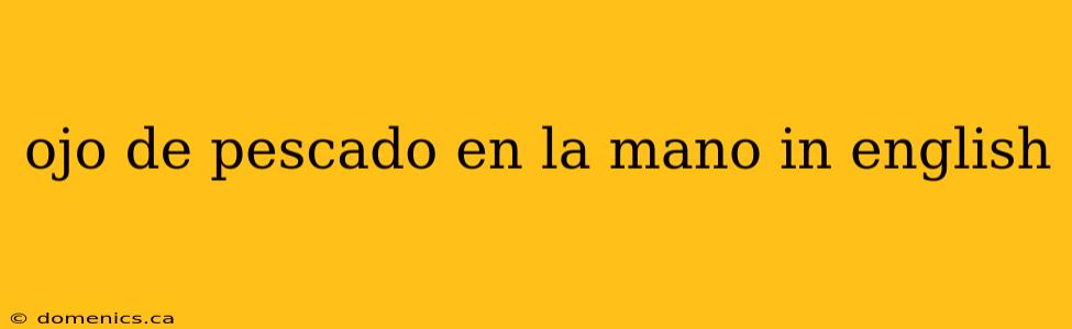 ojo de pescado en la mano in english