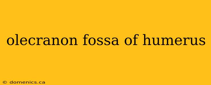 olecranon fossa of humerus