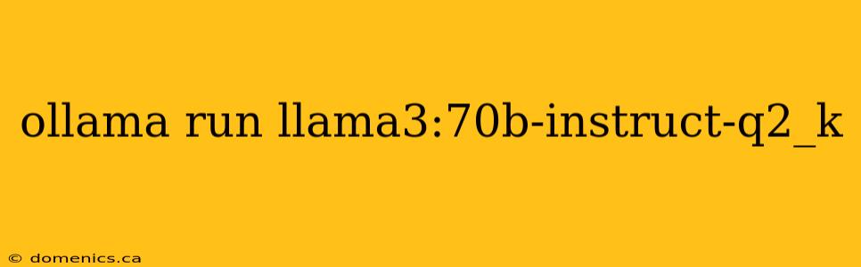 ollama run llama3:70b-instruct-q2_k