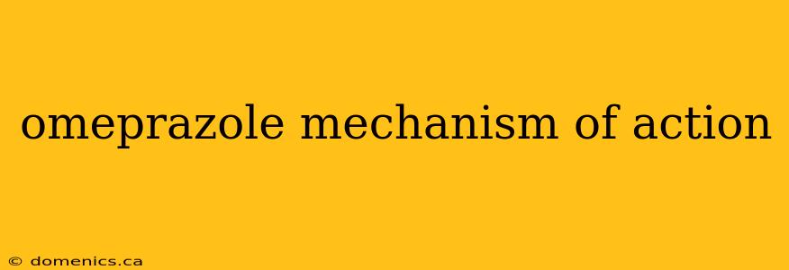 omeprazole mechanism of action