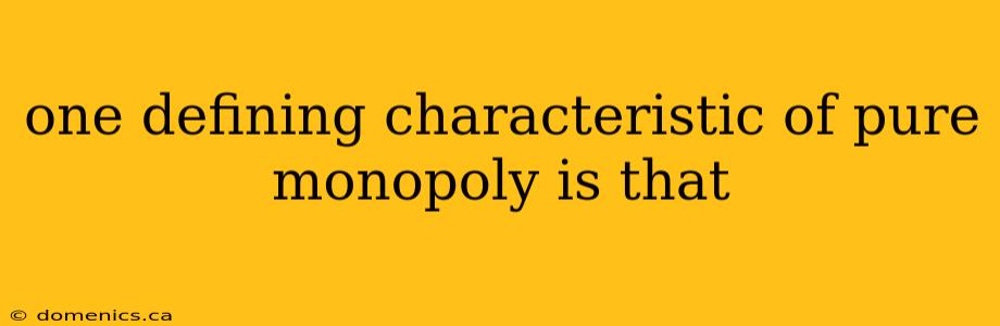 one defining characteristic of pure monopoly is that