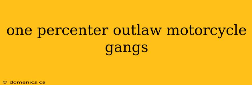 one percenter outlaw motorcycle gangs